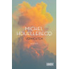 Vernichten: Roman Michel Houellebecq