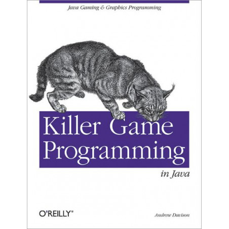 Killer Game Programming in Java Andrew Davison