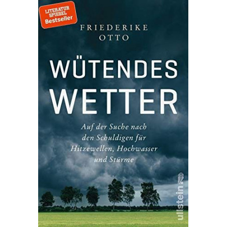 Wütendes Wetter: Auf der Suche nach den Schuldigen für Hitzewellen Hochwasser u