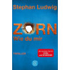 Zorn - Wie du mir: Band 6 Stephan Ludwig