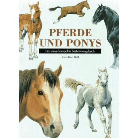 Pferde und Ponys. Das neue kompakte Bestimmungsbuch Caroline Ball