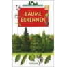 Ensslins kleine Naturführer. Bäume erkennen. (Ab 9 J.). James Gourier