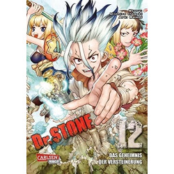 Dr. Stone 12 Boichi