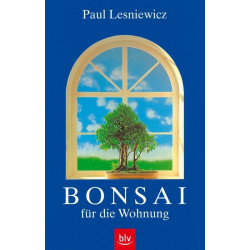 Bonsai für die Wohnung. Paul Lesniewicz