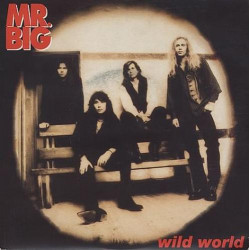 Wild World