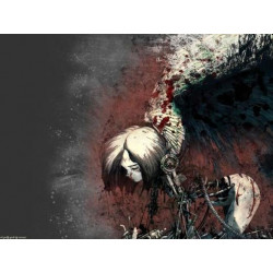 Broken Wings