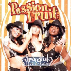 Spanglish Love Affair