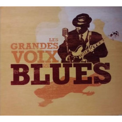 Les grand voix du Blues