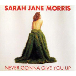 Never Gonna Give You Up