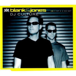 DJ Culture